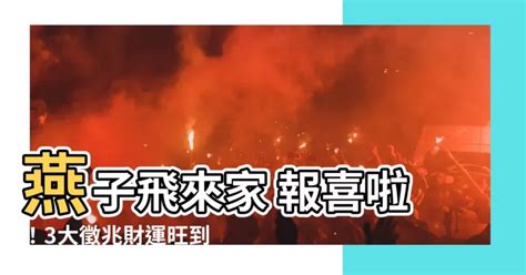 燕子飛進家|【燕子飛進家裡】燕子飛進家裡，屋主暴富徵兆？破解3大現象